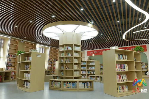 武汉大学图书馆案二审结果公布，背后真相令人震惊！