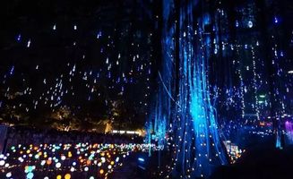 不眠日之殇：一循更甚一循，真相惊人！