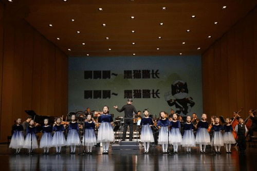 中美文化交流活动