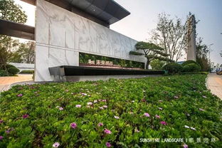 想象中的未来城市景象