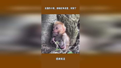 女子被老板性侵，不堪他人辱骂丈夫：这是我的故事