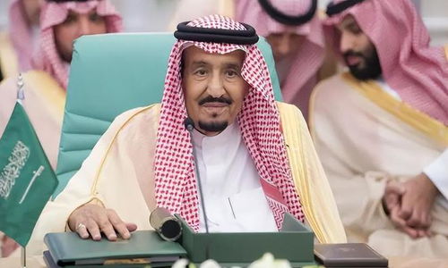 沙特王储出席重要会议