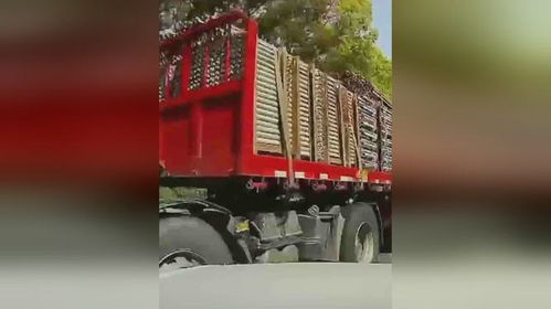 女子带偏瘫夫跑半挂，这背后的爱令人动容