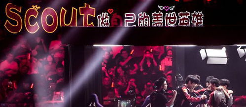 粉丝应援 EDG 图片