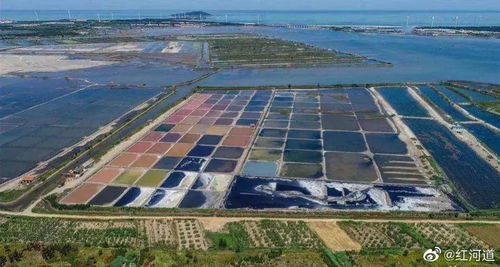 盐城VS连云港，谁才是真正的宝藏城市？