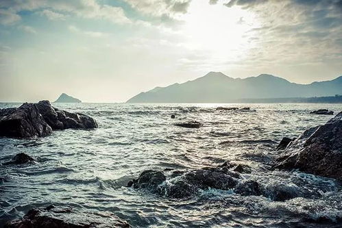 台风桦加沙逼近华南，24 - 25 日风雨最强！