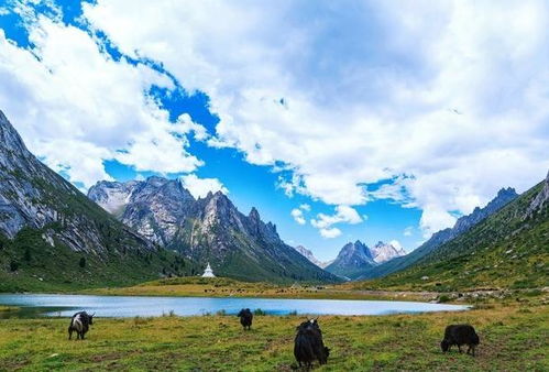 隐居8年浙大硕士：超然物外的生活态度