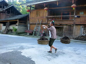 小河旁有人散步