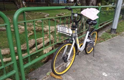 美丽中国建设：那些看得见的重大进步