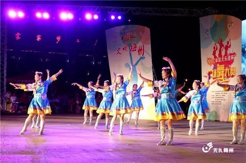 张新成迎来全能新伙伴！