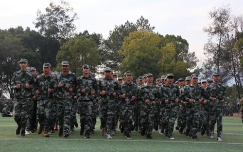 军训时竟跳起Lucifer，这操作太酷了！