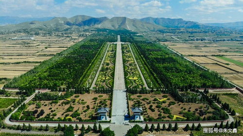 隔壁老樊演唱会惊现王楚钦，现场粉丝尖叫连连！