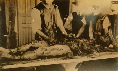 电影《731》票房突破10亿，背后故事令人深思