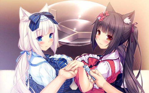 博士与猫娘女仆互动