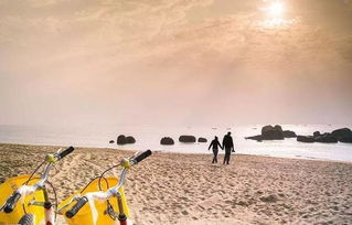 夫妻情深！妻子带偏瘫丈夫跑半挂，在新疆开启别样生活