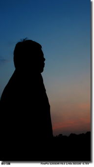 武大肖某某被撤销记过处分，背后真相大揭秘！