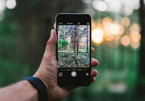 iPhone 17夜间拍摄城市风景