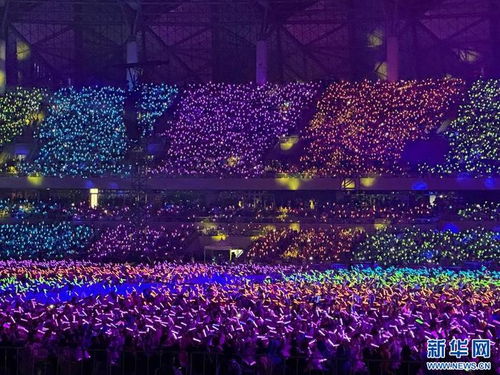 这是演唱会现场观众的照片