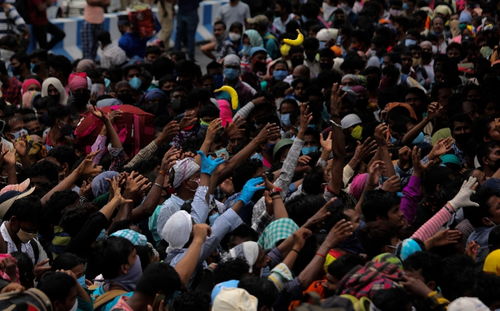 印度人疯抢iPhone竟发生斗殴？真相令人深思