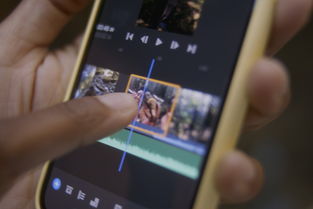 TikTok企业合作签约