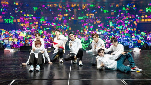 蒜鸟粉丝热情应援