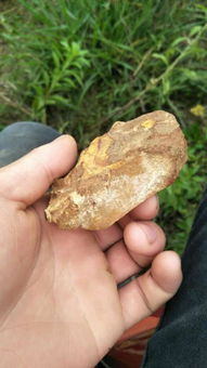 爬山竟遇神秘‘金石头’，这到底啥金属？