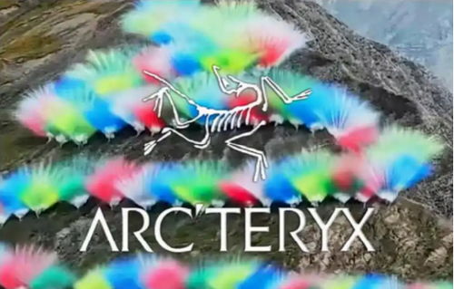 彻查始祖鸟炸山秀审批漏洞迫在眉睫