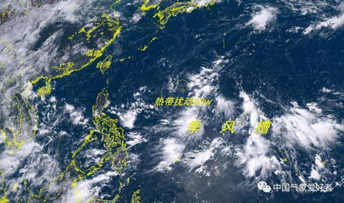 中央气象台发布台风蓝色预警，大家要做好应对准备啦！