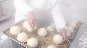 那些年胡夏的小馒头背后的暖心故事