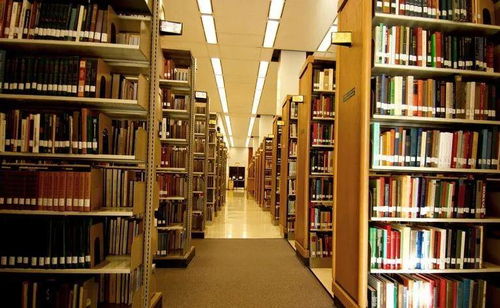 日本媒体为何集体沉默？背后真相令人深思