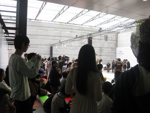 蔡国强致歉背后的真相大揭秘！