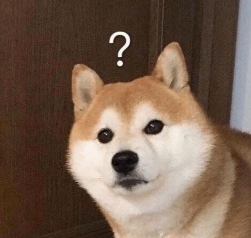 孕妇被狗追咬致胎停，狗主拒赔，她夜难眠！