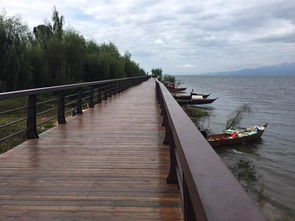 跑者经过湖边赛道