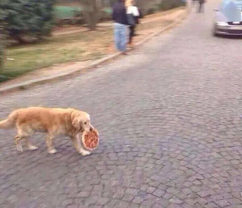 那些年遇过的奇葩，把偷吃说成试吃之人