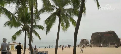 机场航站楼人潮涌动的场景