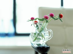 精心摆放在花瓶里供观赏的花