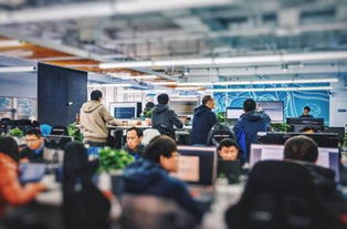 仰望U9X研发团队