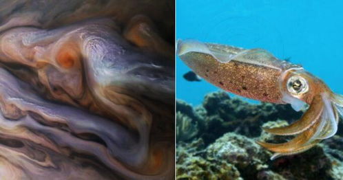 渔民惊现神秘生物，竟是西游记里的通天河神兽？