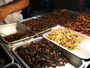 美食区的小吃摊位