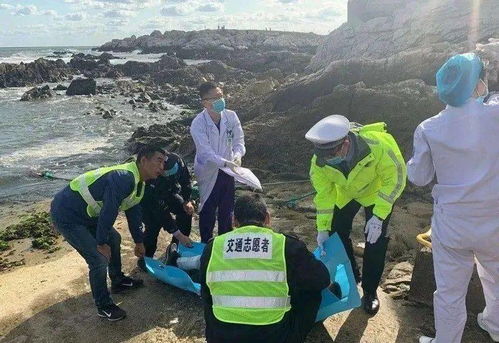 外国游客感谢施救者