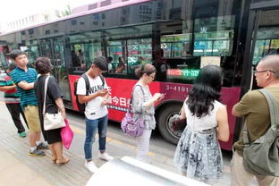 美国停摆？特朗普的一番言论引发全球关注