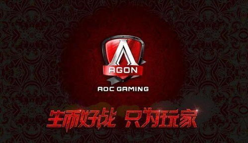 寰际中国职业赛西安站：热血电竞燃爆古城！