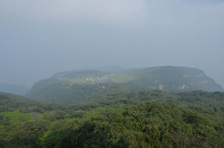 高山草甸修复之路漫漫，专家道破真相！