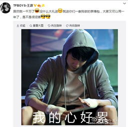 粉丝庆祝表情包