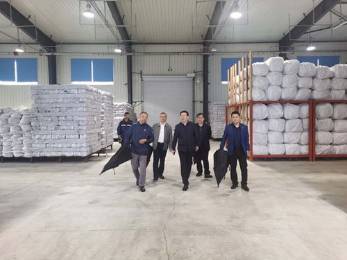 这是家中储备的一些防台风物资