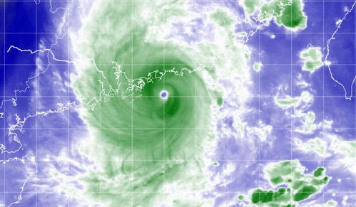 双超强台风共舞，浙江多地暴雨来袭！