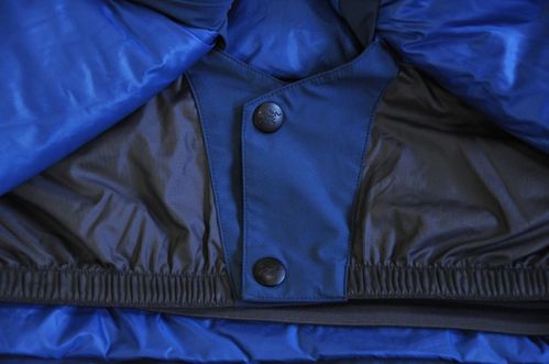 始祖鸟相关画面