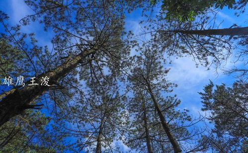 游客文明游览画面
