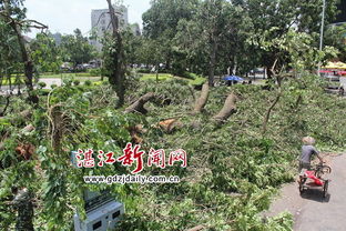 台风过后城市满目疮痍