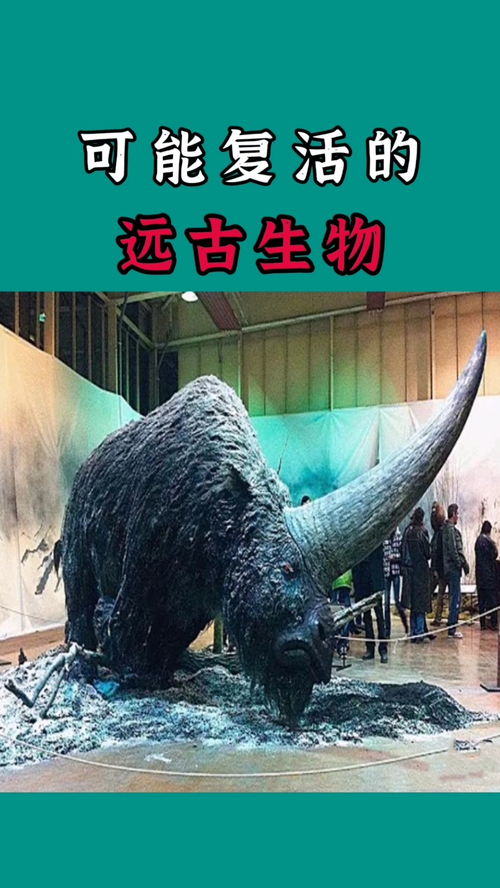 惊现！广东潮州渔民捕获‘通天河神兽’，11斤重如脸盆大，这物种竟存活1.75亿年